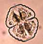 alg-0021.jpg